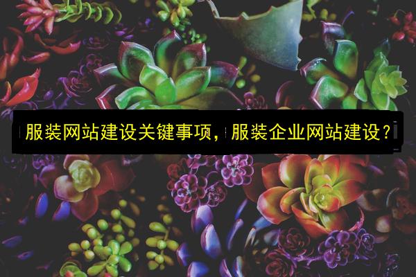 文章配图