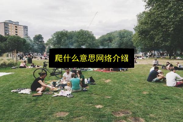 爬什么意思网络介绍插图 文章配图