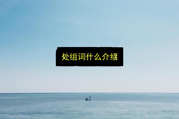 处组词什么介绍插图 文章配图