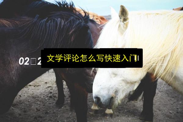 文章配图