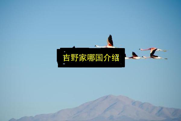 吉野家哪国介绍插图 文章配图