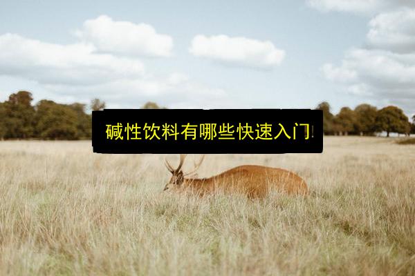 碱性饮料有哪些快速入门插图 文章配图