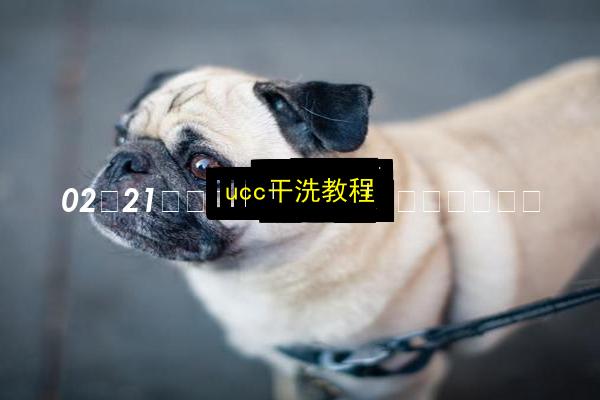 文章配图