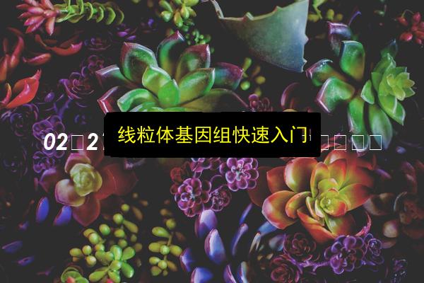 文章配图