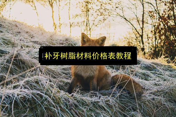 补牙树脂材料价格表教程插图 文章配图