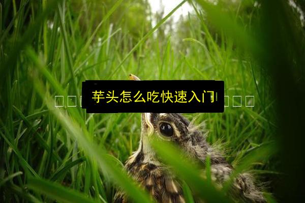 文章配图