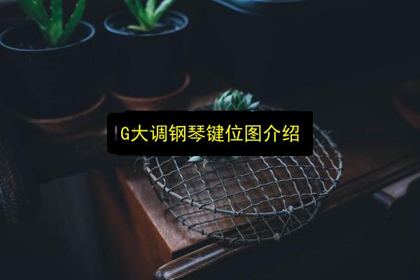 文章配图
