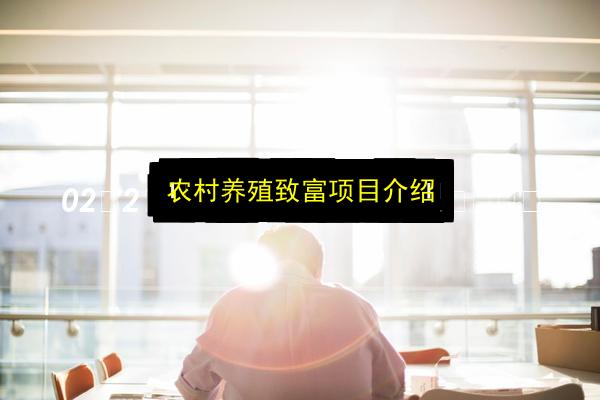 农村养殖致富项目介绍插图 文章配图