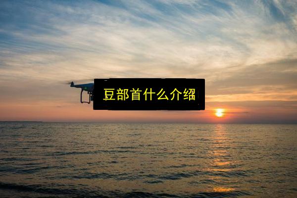 豆部首什么介绍插图 文章配图