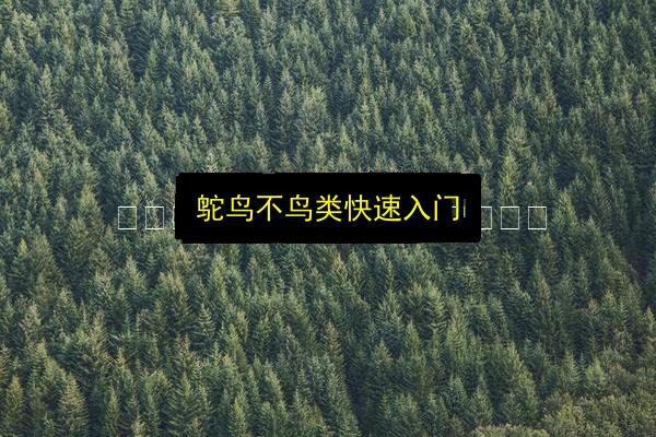 文章配图