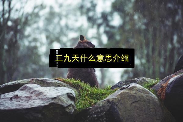 文章配图