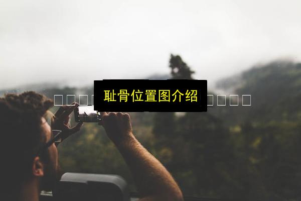 文章配图