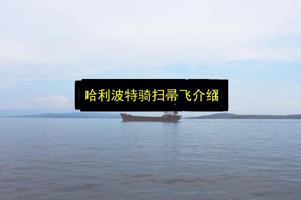 哈利波特骑扫帚飞介绍插图 文章配图
