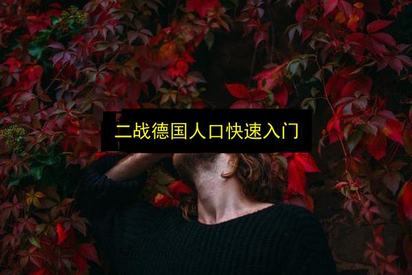 文章配图