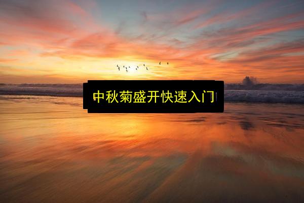 文章配图