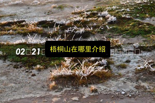 梧桐山在哪里介绍插图 文章配图