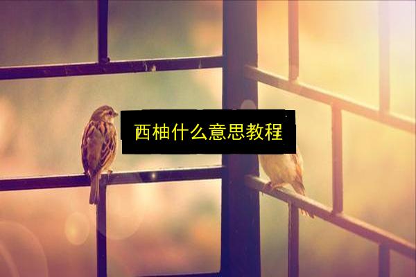 文章配图