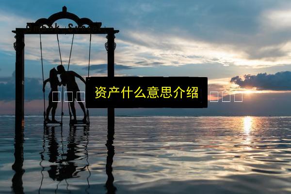 资产什么意思介绍插图 文章配图