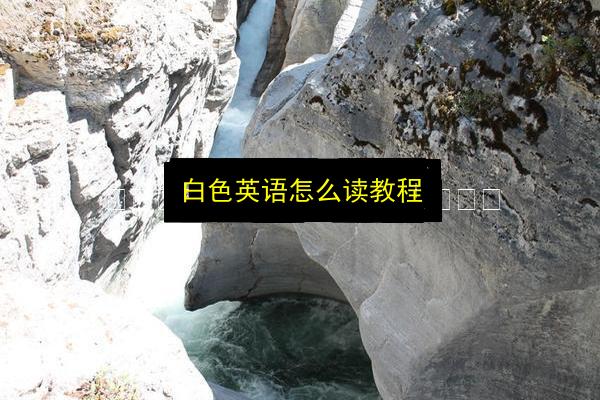 文章配图