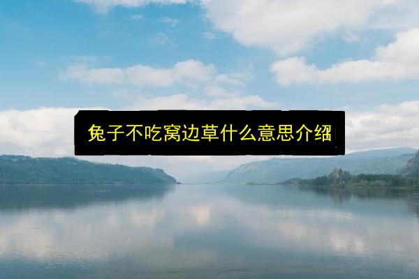 文章配图