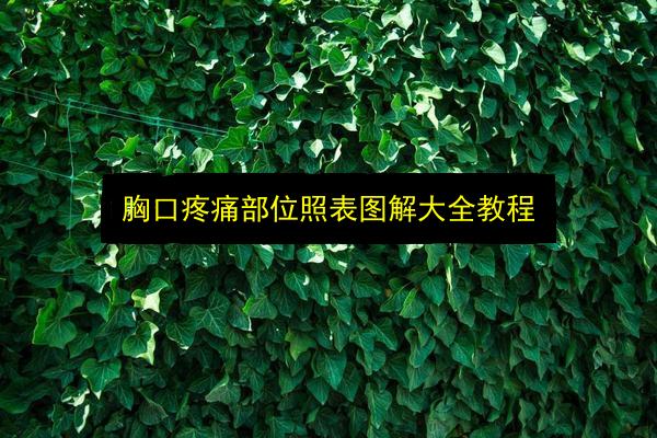 文章配图
