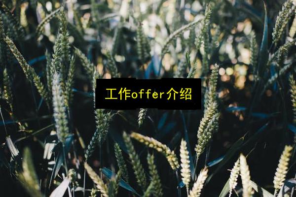 工作offer介绍插图 文章配图