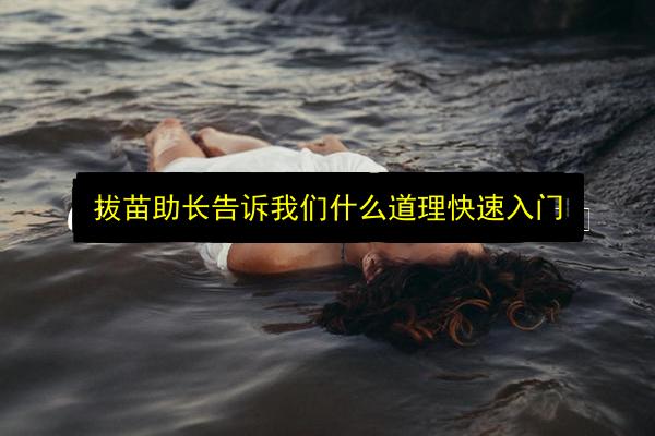 文章配图