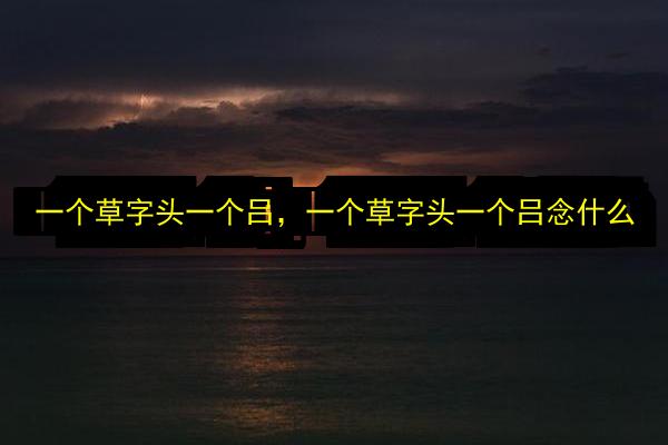 一个草字头一个吕,一个草字头一个吕念什么插图 文章配图