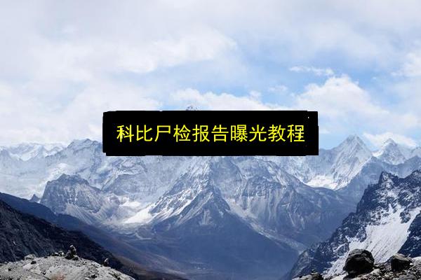 文章配图