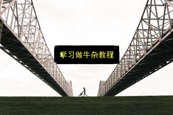 学习做牛杂教程插图 文章配图
