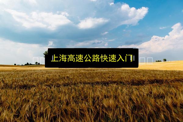 上海高速公路快速入门插图 文章配图