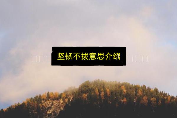 文章配图