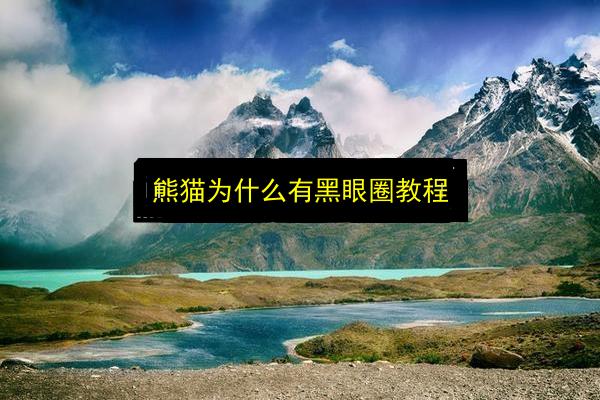 熊猫为什么有黑眼圈教程插图 文章配图