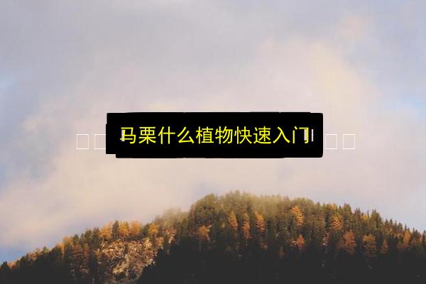 文章配图