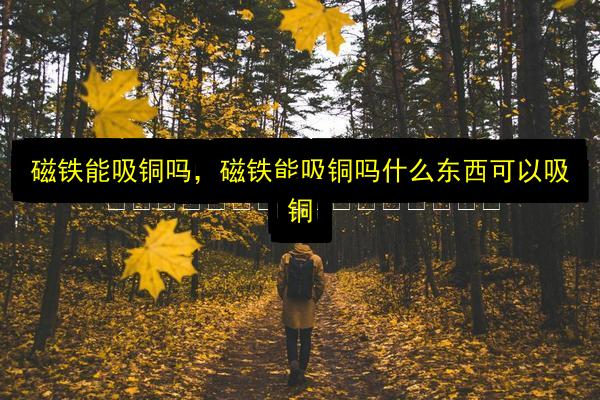 磁铁能吸铜吗,磁铁能吸铜吗什么东西可以吸铜插图 文章配图