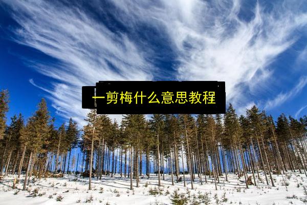文章配图