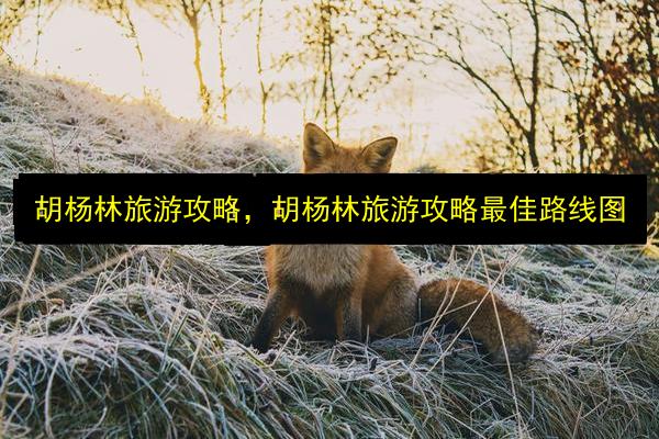 文章配图