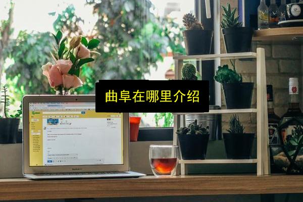 文章配图