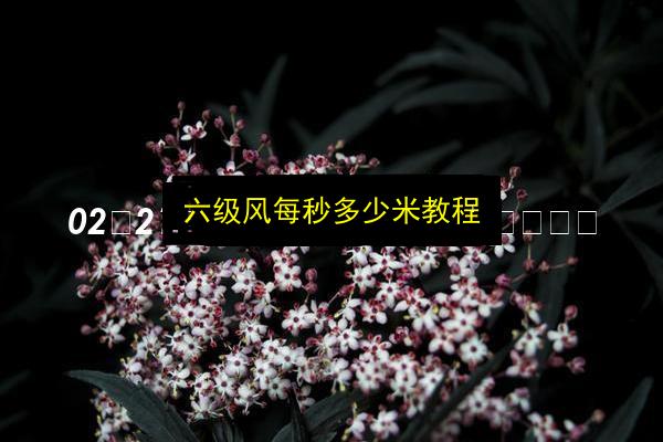 文章配图
