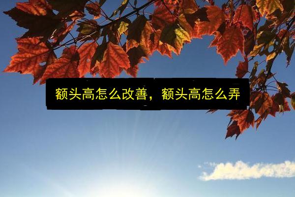 文章配图