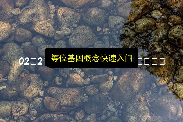文章配图