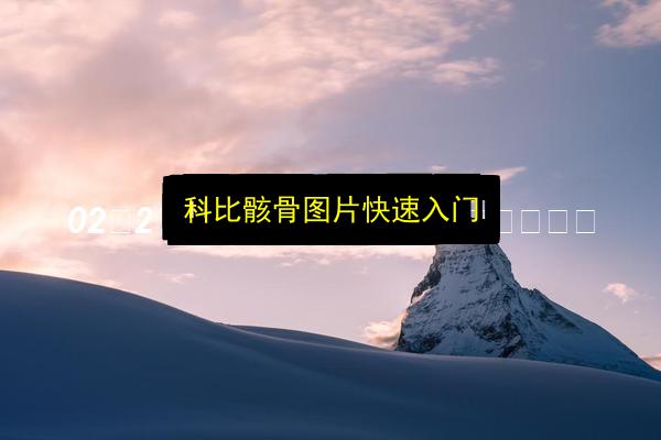 文章配图