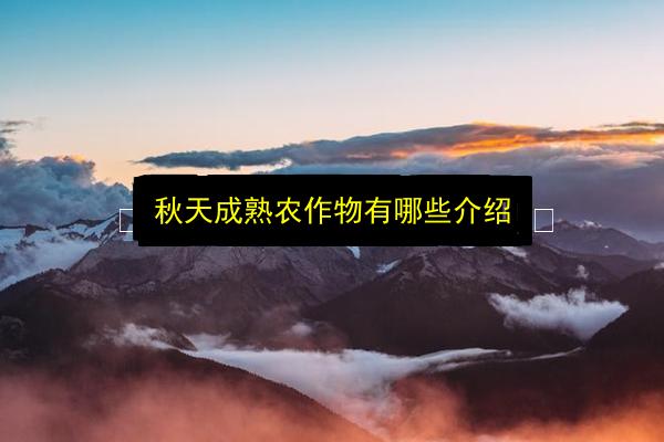 文章配图