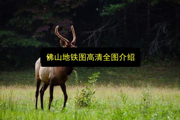 佛山地铁图高清全图介绍插图 文章配图