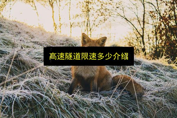 高速隧道限速多少介绍插图 文章配图