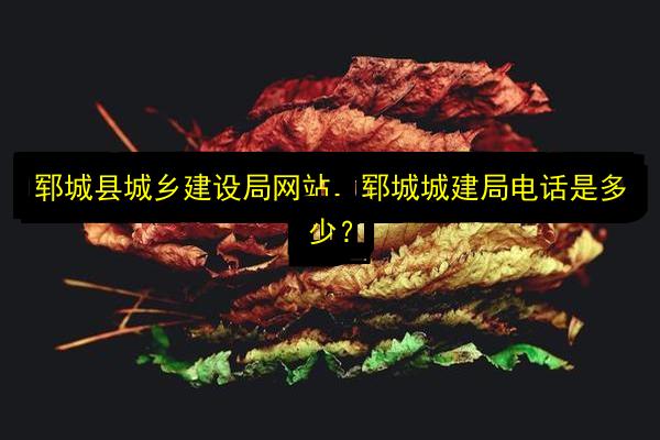 文章配图