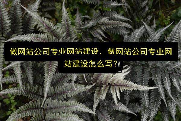 做网站公司专业网站建设,做网站公司专业网站建设怎么写?插图 文章配图