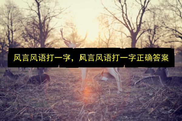 文章配图