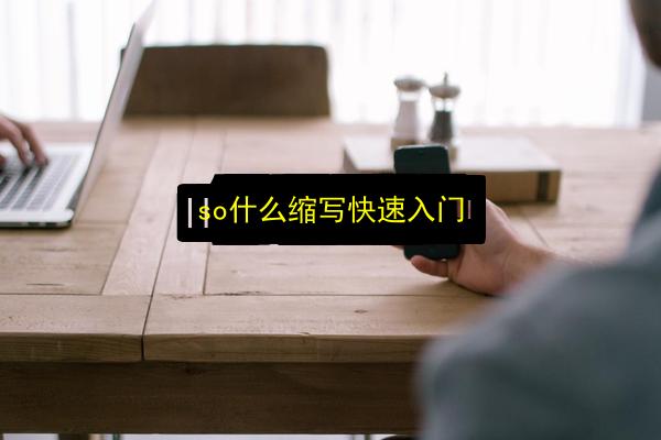 so什么缩写快速入门插图 文章配图
