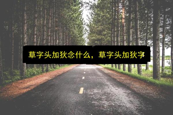 草字头加狄念什么,草字头加狄字插图 文章配图